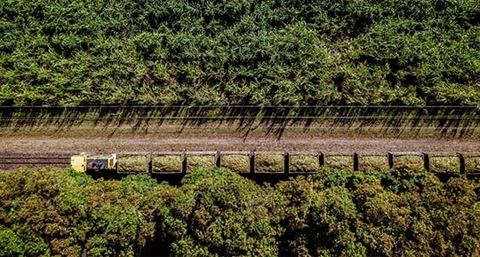 Fair Trade Cane Sugar